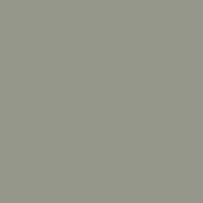 A sample of Sherwin Williams Evergreen Fog.