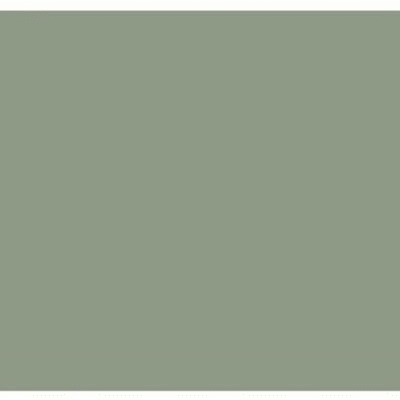 A sample of Benjamin Moore High Park.