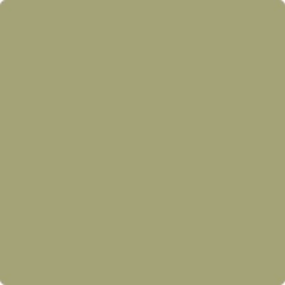 A sample of Benjamin Moore Hillside Green.