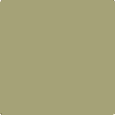 A sample of Benjamin Moore Hillside Green.