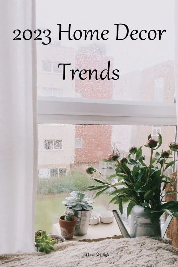 A view from a window with a plant and text overlay.