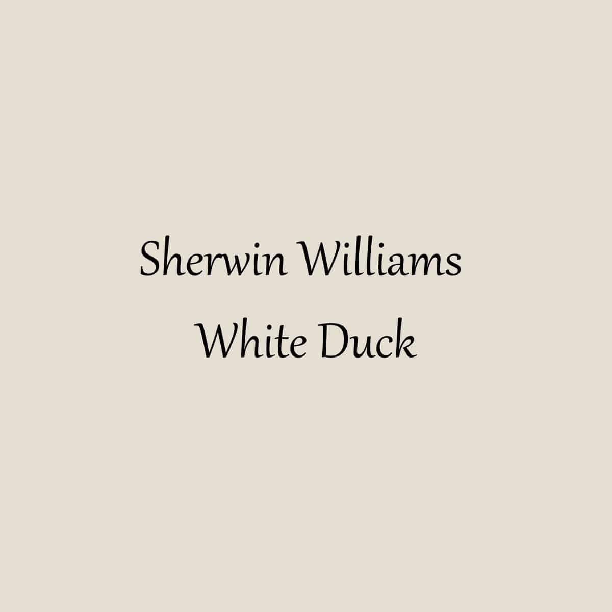 Sherwin Williams White Duck Paint Color Review