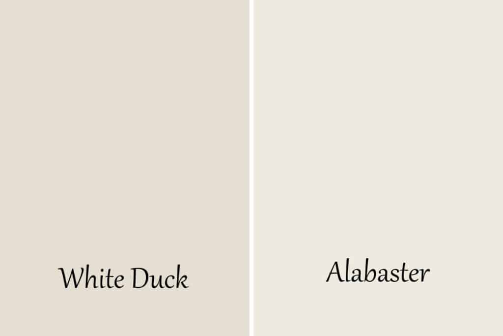 A side by side of White Duck and Alabaster with text overlay.