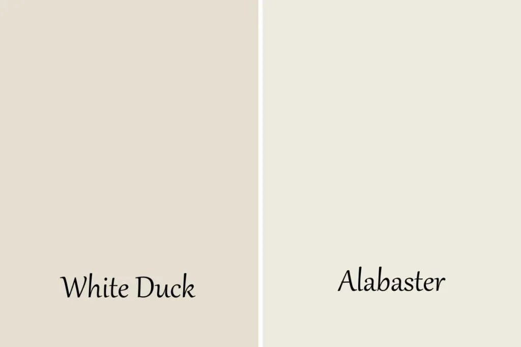 A side by side of White Duck and Alabaster with text overlay.