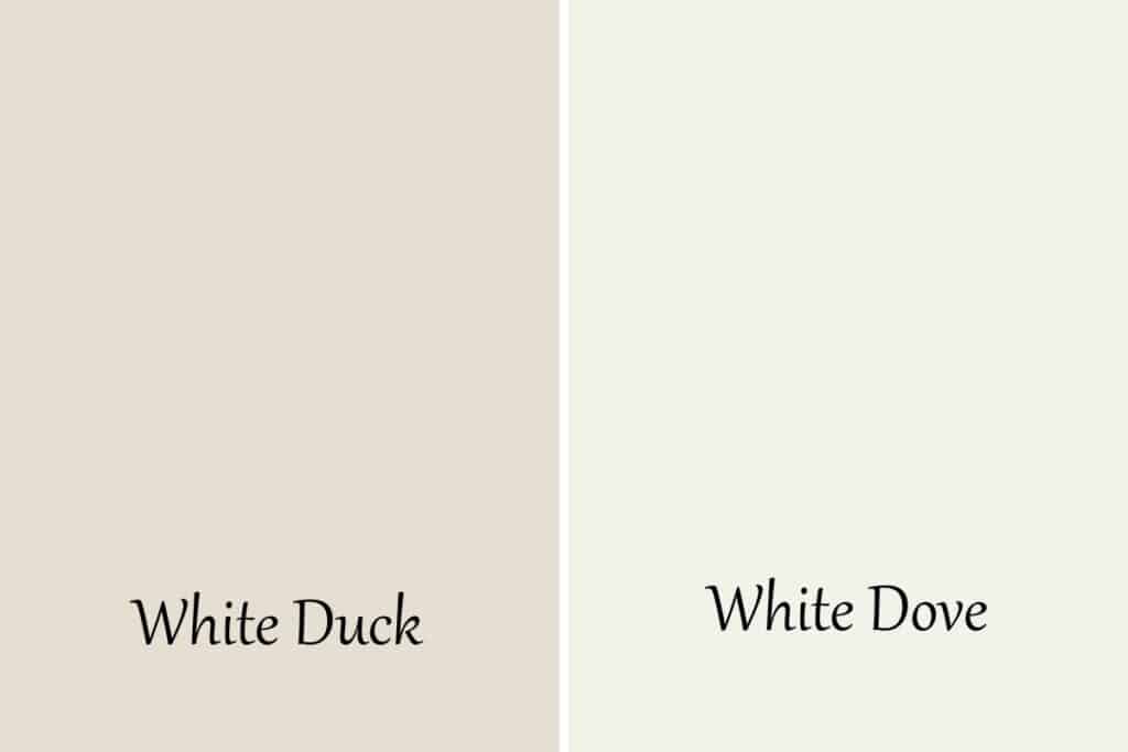 A side by side of White Duck and White Dove with text overlay.