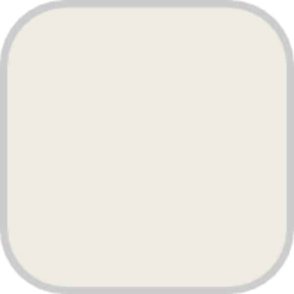 A swatch of Silky White from Behr.