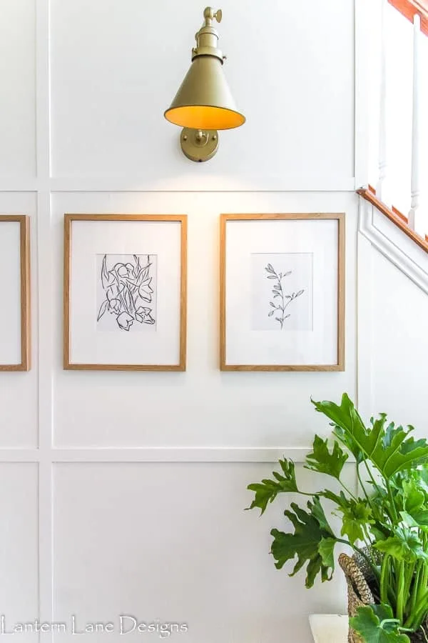 A wall sconce with leaf prints below in gold frames on a white wall.