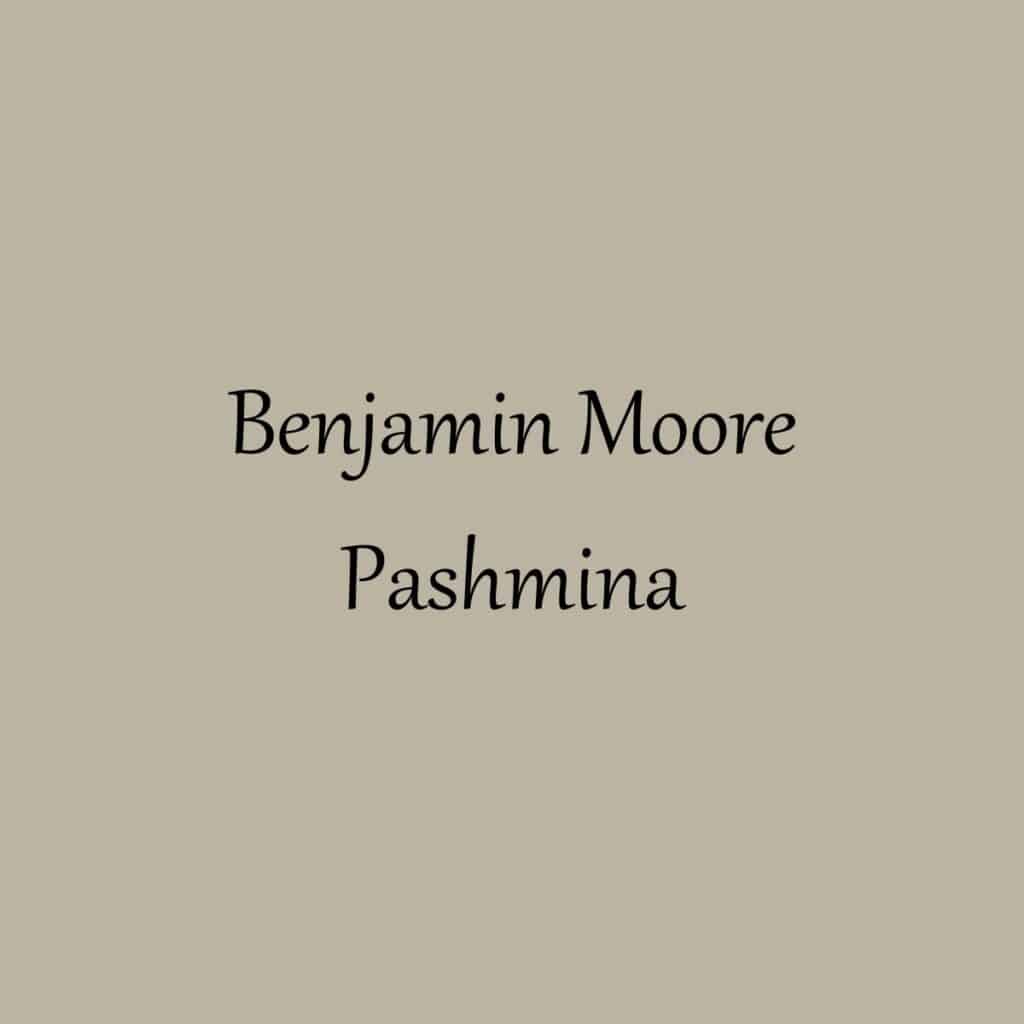 A swatch of Benjamin Moore Pashmina.