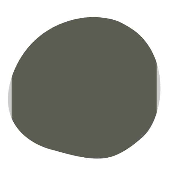This is a swatch of Behr Black Bamboo.
