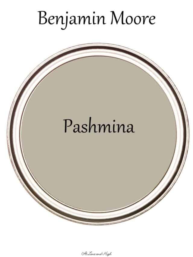 cropped-Pashmina-pin.jpg