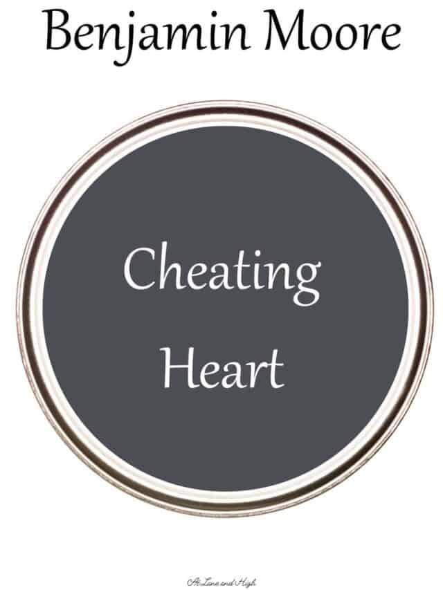 cropped-cheating-heart-pin.jpg