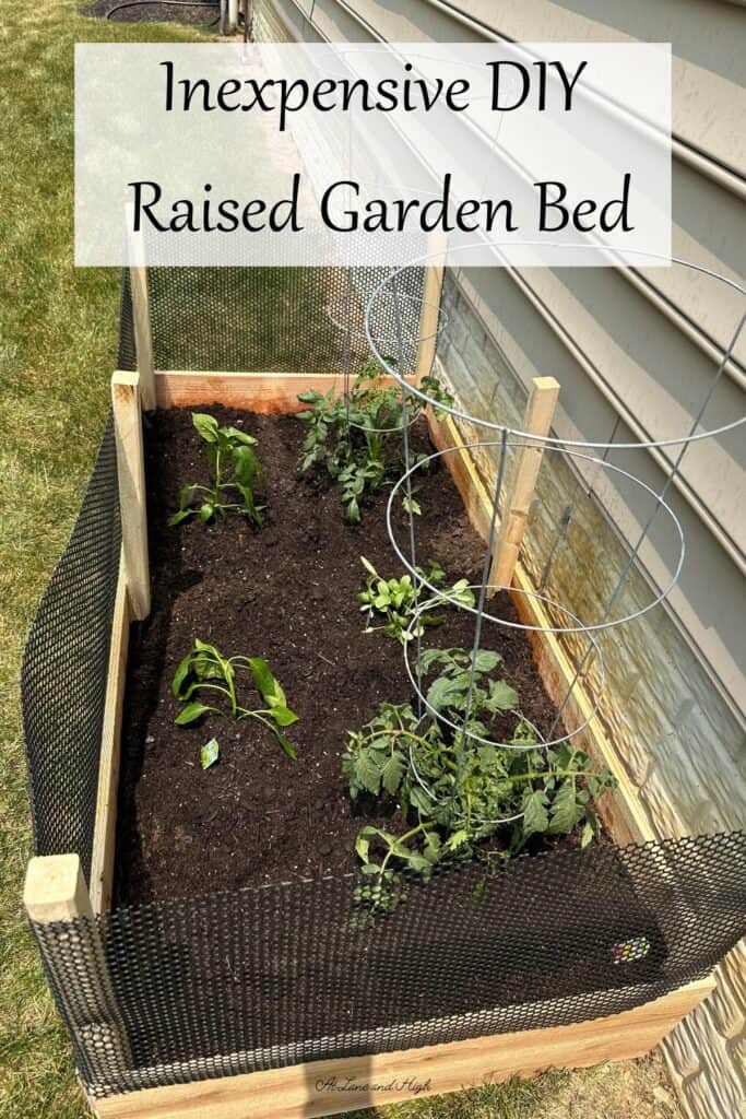A raised garden bed with vegetable plants and mesh around the top to keep out animals.