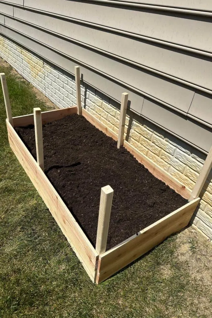 The raised garden bed with dirt in it.