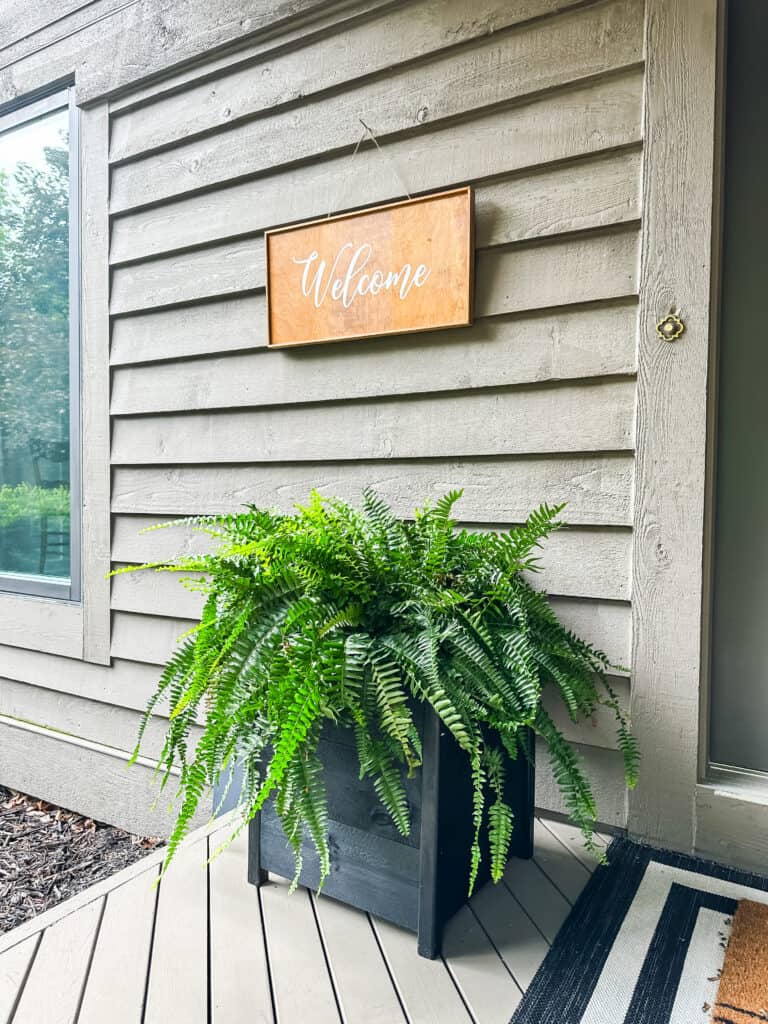 A Boston Fern in a black planter on a front porch with a welcome sign above.