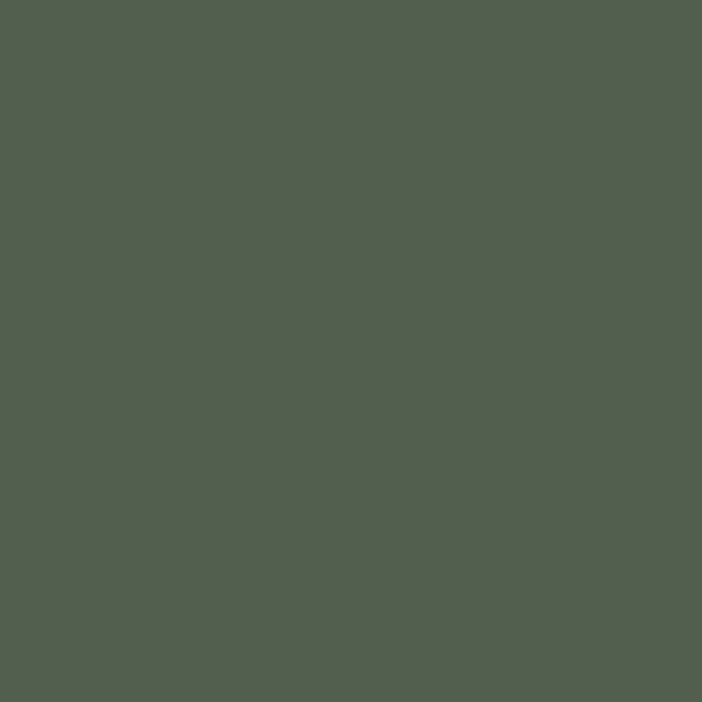 A swatch of Benjamin Moore Boreal Forest.