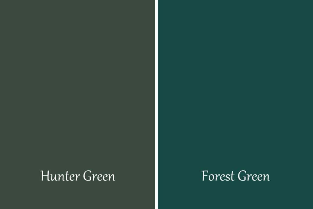 The Difference Between Hunter Green vs. Forest Green