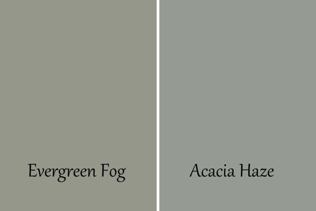 Acacia Haze Vs Evergreen Fog