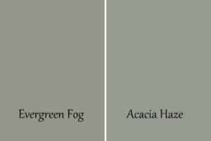 Acacia Haze Vs Evergreen Fog