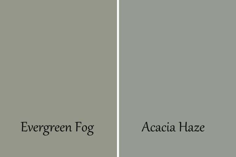 Acacia Haze Vs Evergreen Fog