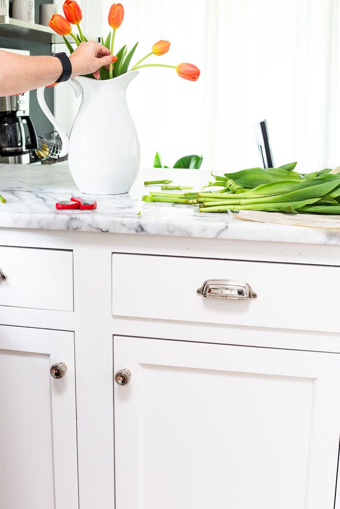 A woman inserting a tulip into the white pitcher that is sitting on a marble counter with white cabinets under.