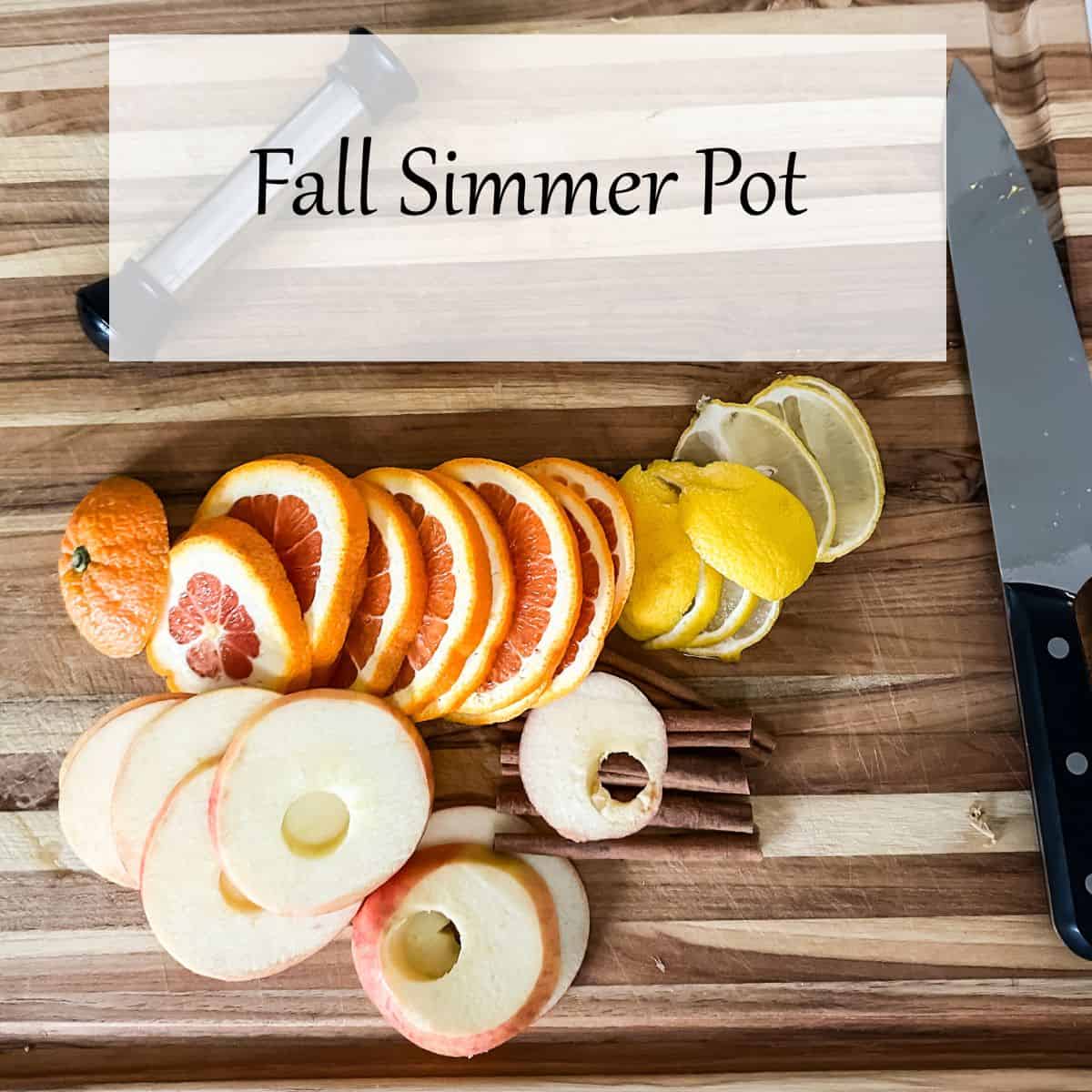 A Fall Simmer Pot That Will Make Your Whole House Smell Heavenly