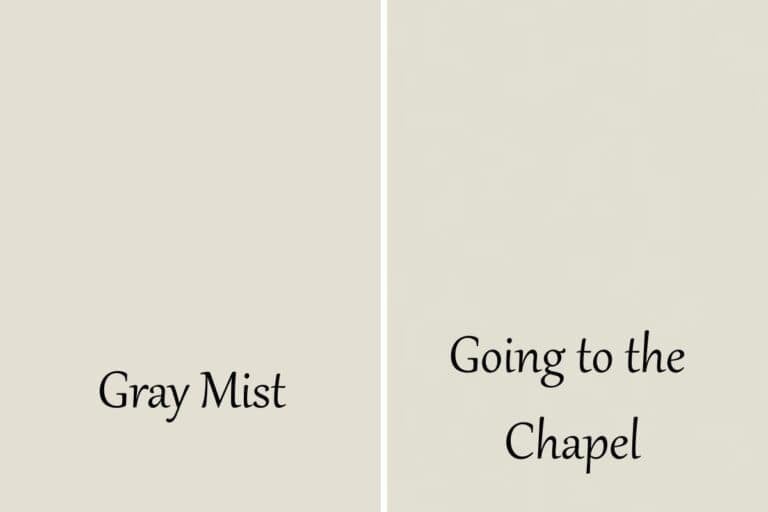 Benjamin Moore Gray Mist Color Review