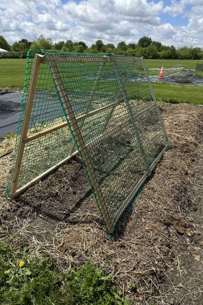The finished A-framed trellis in my garden with fields in the background and clouds in the sky.