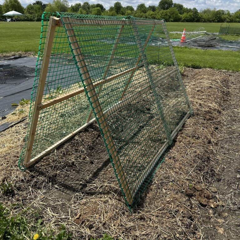 DIY A-Frame Trellis For The Garden