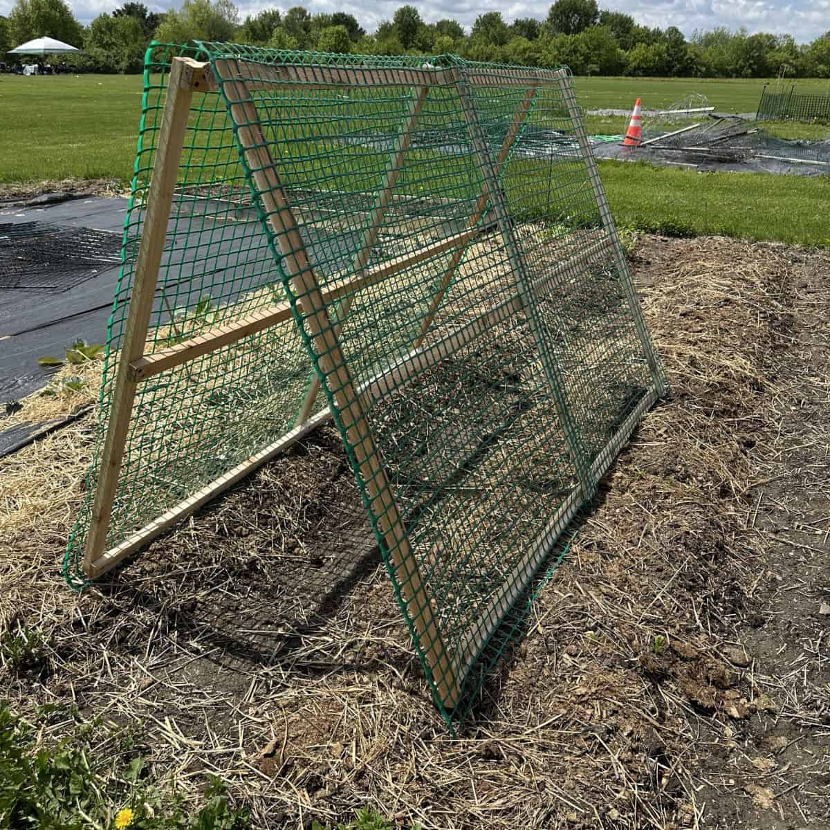 DIY A-Frame Trellis For The Garden