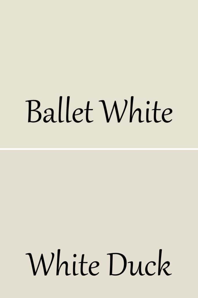 A side by side of Ballet White and White Duck with text overlay.