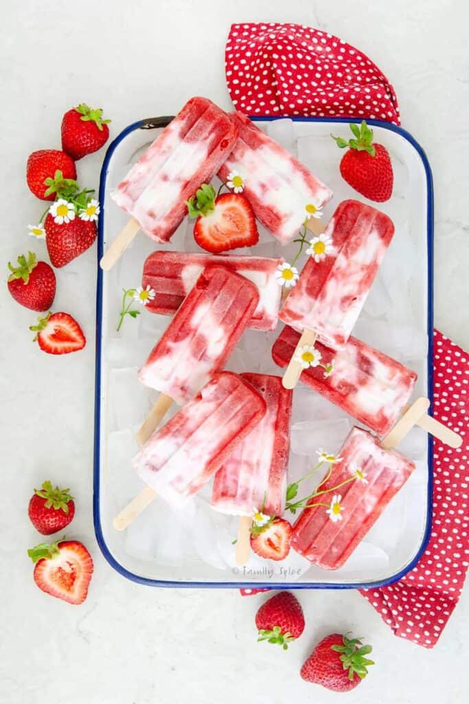 strawberry rhubarb creamscicles on a white plate with a blue rim and lots of strawberries around with small daisy-like flowers.