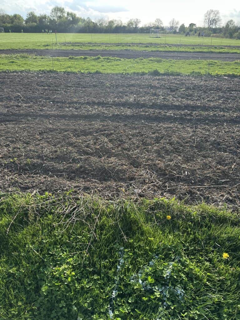 A dirt plot where my garden is going to be.