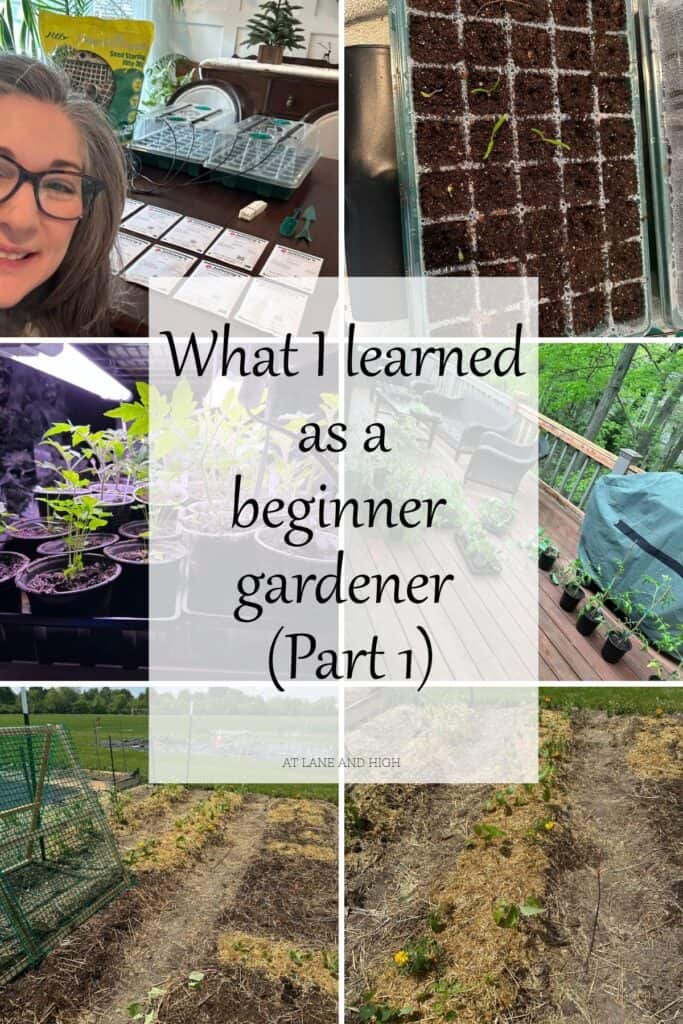 A grid of 6 images of plants starting from seed and growing then being put into the ground.