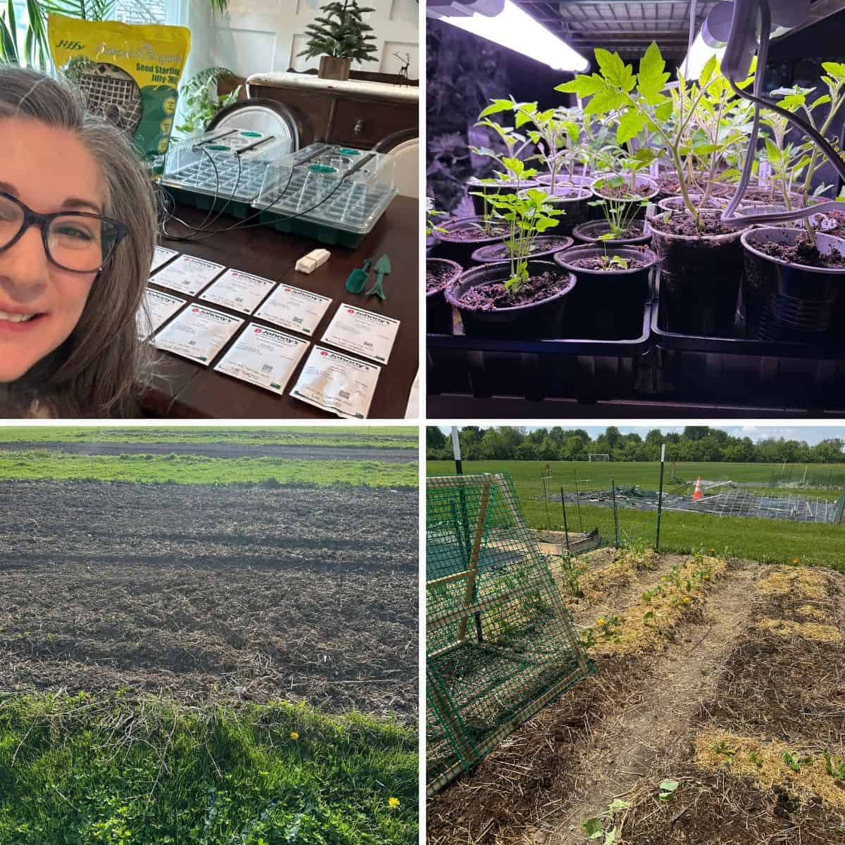 What I Learned As A Beginner Gardener (Part 1)