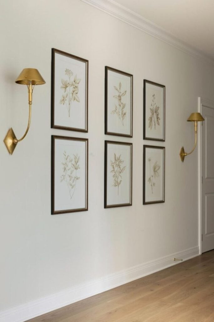 A gallery wall of framed botanical prints and two gold wall sconces.